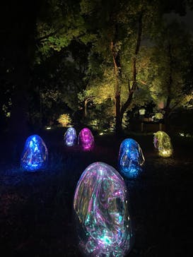 チームラボ ボタニカルガーデン 大阪に投稿された画像（2022/8/18）