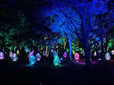 チームラボ ボタニカルガーデン 大阪に投稿された画像（2022/8/18）