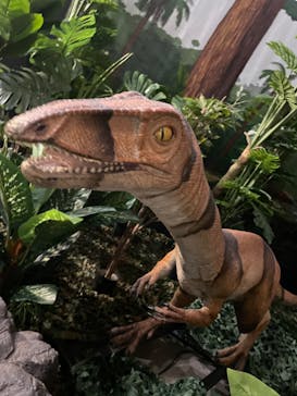 ジュラシック大恐竜展2022 in ときメッセに投稿された画像（2022/8/18）