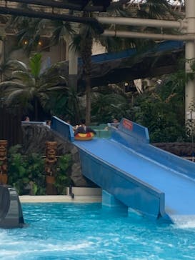 スパリゾートハワイアンズに投稿された画像（2022/8/18）