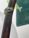 仙台うみの杜水族館に投稿された画像（2022/8/19）