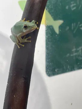 仙台うみの杜水族館に投稿された画像（2022/8/19）