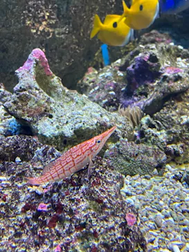 仙台うみの杜水族館に投稿された画像（2022/8/19）
