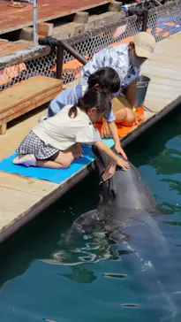うみたま体験パーク 「つくみイルカ島」に投稿された画像（2022/8/19）