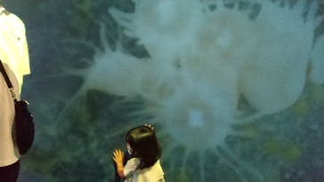 名古屋港水族館に投稿された画像（2022/8/19）