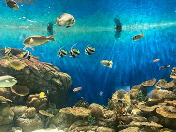 城崎マリンワールドに投稿された画像（2022/8/19）