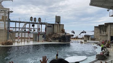 城崎マリンワールドに投稿された画像（2022/8/19）