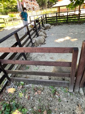 那須高原りんどう湖ファミリー牧場に投稿された画像（2022/8/19）