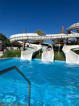 東武動物公園に投稿された画像（2022/8/19）