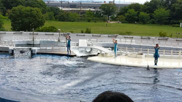 京都水族館に投稿された画像（2022/8/19）