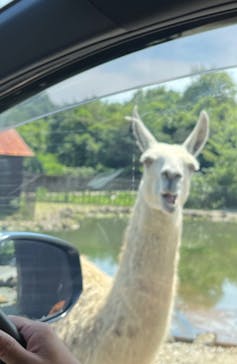 那須サファリパークに投稿された画像（2022/8/19）