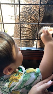 那須サファリパークに投稿された画像（2022/8/19）