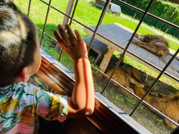 那須サファリパークに投稿された画像（2022/8/19）