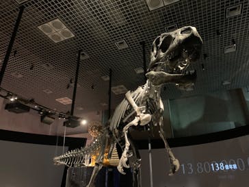 国立科学博物館に投稿された画像（2022/8/19）