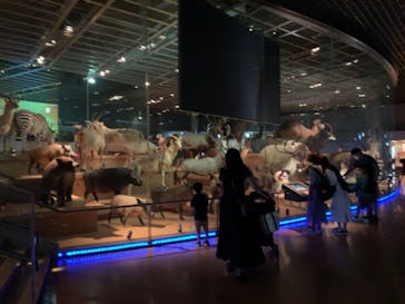 国立科学博物館に投稿された画像（2022/8/19）