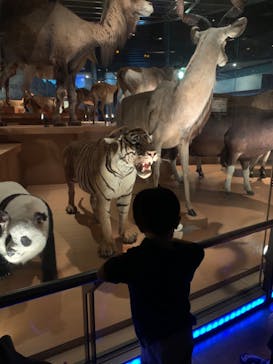 国立科学博物館に投稿された画像（2022/8/19）