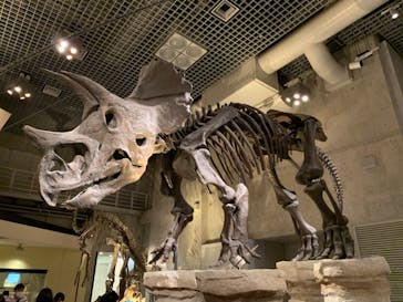 国立科学博物館に投稿された画像（2022/8/19）