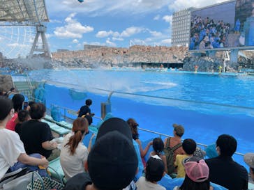 名古屋港水族館に投稿された画像（2022/8/19）