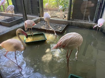 ネオパークオキナワに投稿された画像（2022/8/19）