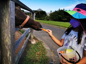 アロハガーデンたてやまに投稿された画像（2022/8/19）