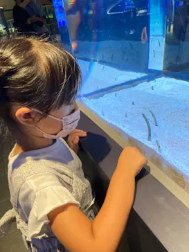 すみだ水族館に投稿された画像（2022/8/19）