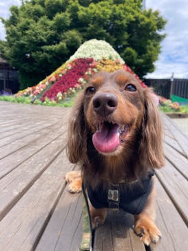 伊豆パノラマパークに投稿された画像（2022/8/19）