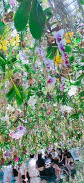 チームラボプラネッツ TOKYO DMMに投稿された画像（2022/8/19）