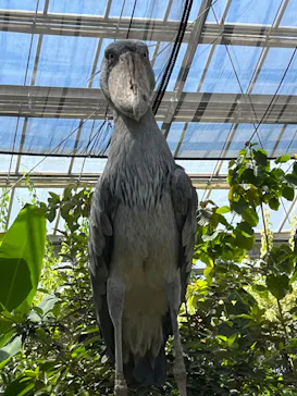 神戸どうぶつ王国に投稿された画像（2022/8/19）