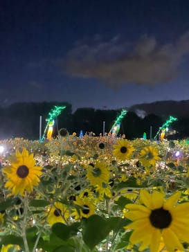 せんだい農業園芸センター　みどりの杜に投稿された画像（2022/8/19）