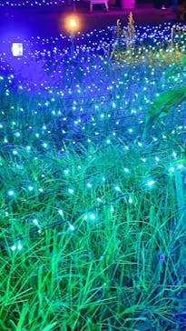 せんだい農業園芸センター　みどりの杜に投稿された画像（2022/8/19）