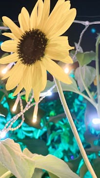 せんだい農業園芸センター　みどりの杜に投稿された画像（2022/8/19）