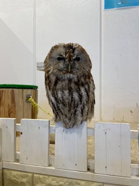 アニタッチみなとみらいに投稿された画像（2022/8/19）