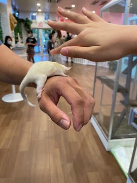 アニタッチみなとみらいに投稿された画像（2022/8/19）