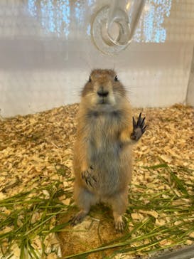 アニタッチみなとみらいに投稿された画像（2022/8/19）