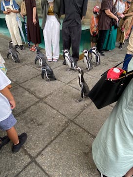 城崎マリンワールドに投稿された画像（2022/8/19）