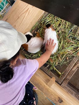 ネオパークオキナワに投稿された画像（2022/8/19）