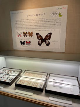 滋賀県立琵琶湖博物館に投稿された画像（2022/8/19）