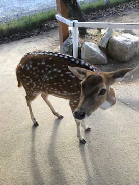 神戸どうぶつ王国に投稿された画像（2022/8/19）