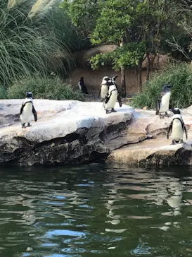 神戸どうぶつ王国に投稿された画像（2022/8/19）