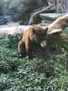 神戸どうぶつ王国に投稿された画像（2022/8/19）