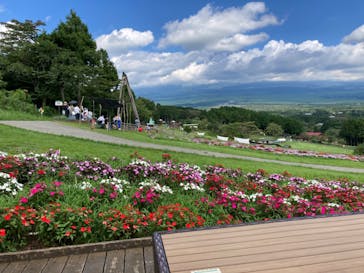 まかいの牧場に投稿された画像（2022/8/19）