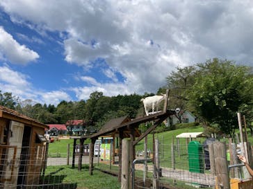 まかいの牧場に投稿された画像（2022/8/19）