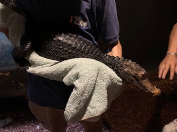 体感型動物園iZooに投稿された画像（2022/8/19）