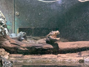 体感型動物園iZooに投稿された画像（2022/8/19）