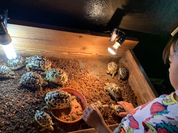 体感型動物園iZooに投稿された画像（2022/8/19）