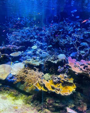 名古屋港水族館に投稿された画像（2022/8/19）