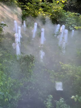 ムーミンバレーパークに投稿された画像（2022/8/19）