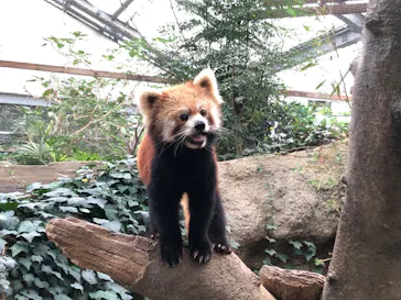 神戸どうぶつ王国に投稿された画像（2022/8/19）