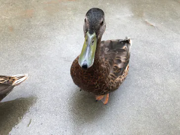 神戸どうぶつ王国に投稿された画像（2022/8/19）