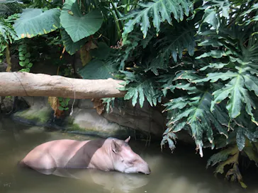 神戸どうぶつ王国に投稿された画像（2022/8/19）